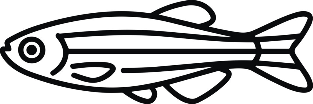 Zebrafish line art on black background.