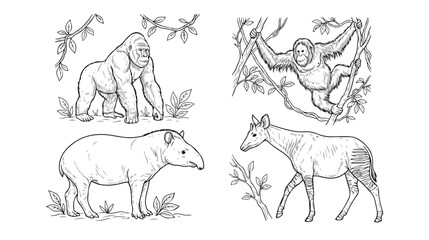 Vintage jungle animal illustrations, hand drawn gorilla and orangutan primate sketches, tapir and okapi wildlife vector set for coloring books © xantii