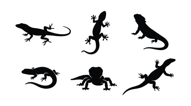 Lizard silhouette vector set, black reptile icons collection, 6 gecko and salamander shapes, wild animal silhouettes for nature logos