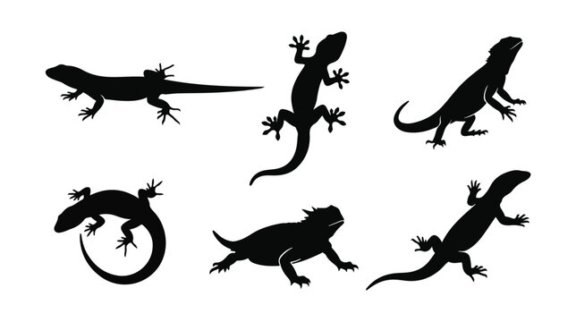 Lizard silhouette vector collection, set of 6 reptile icons in black, wild lizard and gecko shapes for nature logos and wildlife design