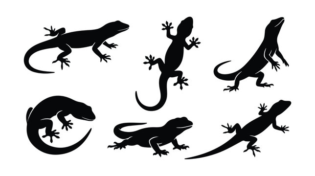 Lizard silhouette vector set, black gecko icons in various poses, 6 reptile animal silhouettes for nature logos and wildlife branding