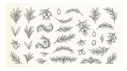 Vintage olive branch line art collection, hand drawn botanical sketches of olive tree leaves and fruit, elegant floral vector set for wedding branding © xantii