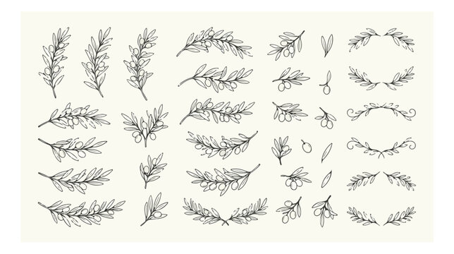 Hand drawn olive branch vector set, botanical line art laurel wreaths and foliage elements, minimalist black ink floral sketches for wedding stationery