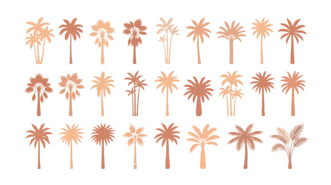 Boho palm tree silhouettes, collection of 27 tropical plant icons in terracotta and beige tones, minimalist summer vector set for branding and decor