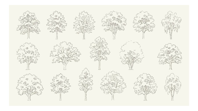 Vintage hand drawn tree sketches, set of 18 botanical line art illustrations, rustic forest tree collection for landscape design and wedding stationery
