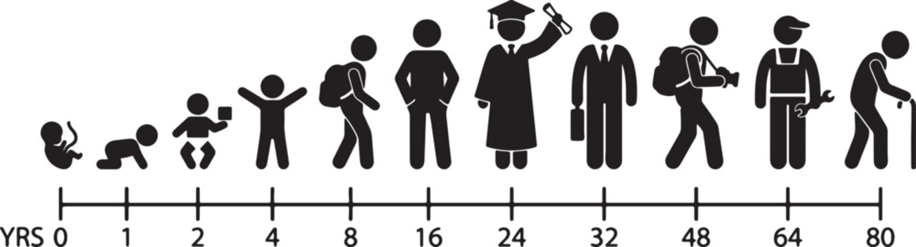 Human life cycle timeline infographic showing the stages of growth from birth to old age, black silhouette on a white background, flat also transparent background