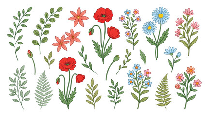 Vintage wildflower vector collection, hand drawn botanical illustrations of poppies and daisies, rustic floral set for wedding invitations and greeting cards © Shahzad