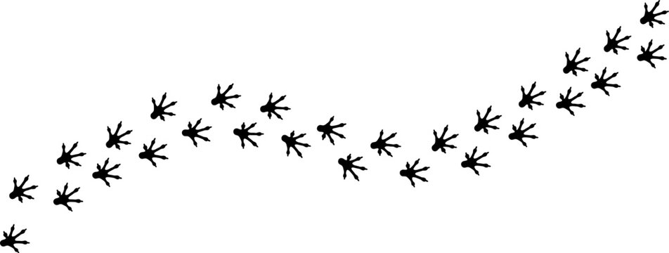 Lizard Footprint Trail Pattern Vector Illustration, Reptile Animal Track Silhouette Collection, Gecko Foot Print Route Design Isolated on White Background