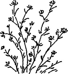 Obraz premium Hand Drawn Briar Bushes Vector Illustration
