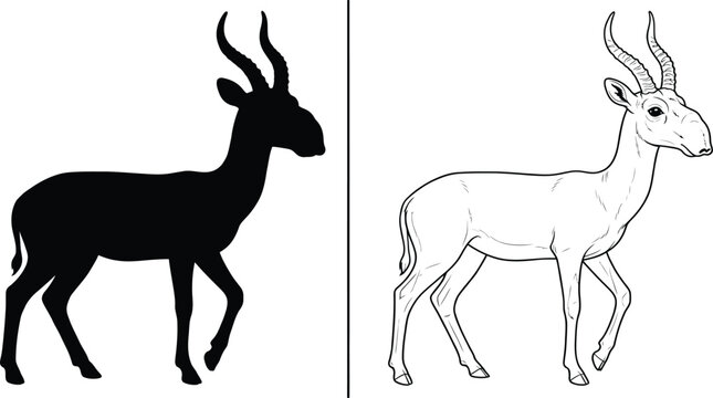 Saiga Antelope Set with Minimalist Black Silhouette and Detailed Outline Drawing, Walking From the Side View.