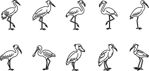 Obraz premium Wading bird outline icon collection with herons cranes and long legged waterbirds for wildlife design projects