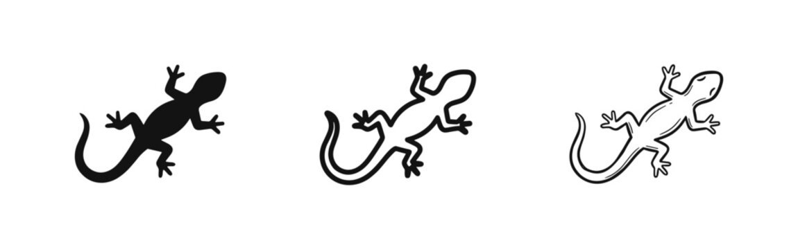Set of lizard icons in solid, line, and hand-drawn styles