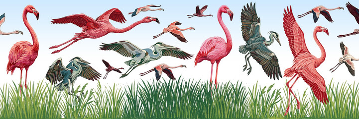 Obraz premium Pink flamingo, heron, crane, fly, flock, instinct, stamp, engraving, impression