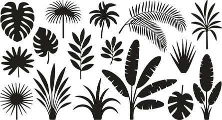Tropical leaves black silhouette set with monstera and palm fronds isolated on a clean white background © Rony