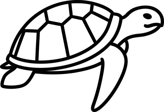 Simple Line Art Sea Turtle Illustration