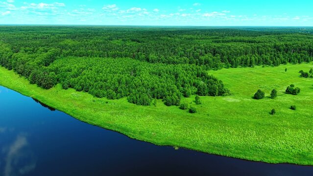 Aerial view of lush green forested areas bordering a serene blue river under a clear sky