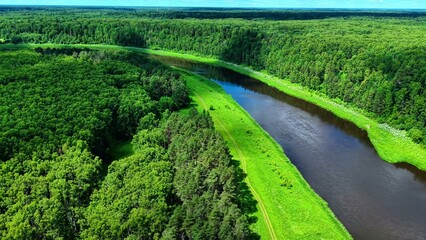 Obraz premium Lush green forest bordering a winding river in bright sunny conditions during mid-summer