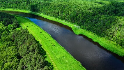 Obraz premium Aerial view of flowing river bordered by dense green forest in bright summer colors