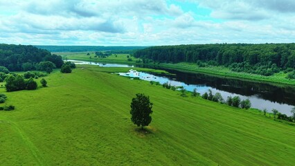 Obraz premium Aerial view of lush green field with a solitary tree beside a winding river under cloudy sky
