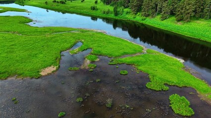 Obraz premium Lush green grassland bordering a tranquil river with reflective water under bright daylight