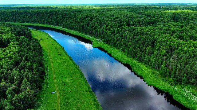 Aerial view of winding river bordered by lush green forests under clear blue sky