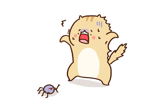 Cat finding a spider and getting frightened, scaredy-cat or coward concept