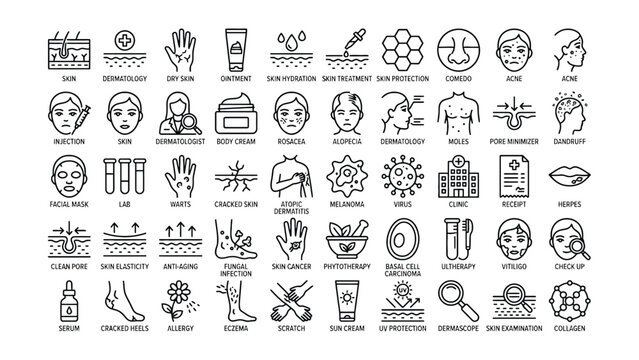 Dermatology and skin care icons and terms for beauty and health concepts  various skin conditions and treatments illustrated