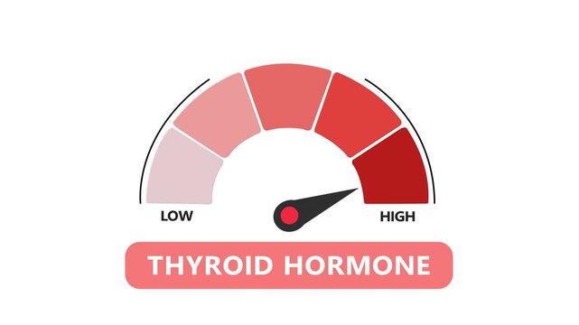 Thyroid hormone level gauge animation: medical diagnostic concept for hyperthyroidism and hypothyroidism animated with alpha channel .