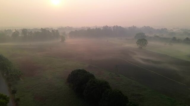 A morning drone flight over foggy fields in Mayapur