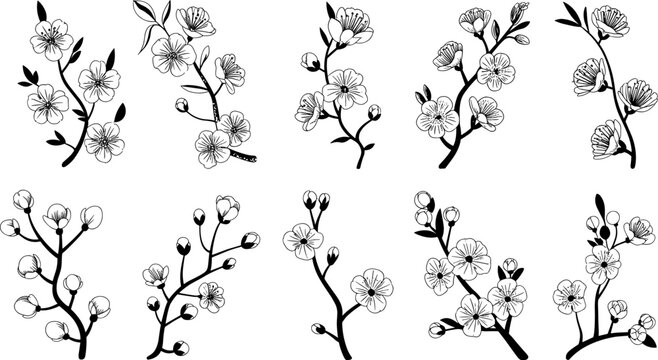 Cherry blossom sakura branch vector set with hand drawn line art floral elements for spring wedding invitation