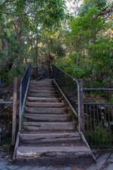 Fototapeta premium Rustic Wooden Stairs on a Hiking Trail in a Green Forest