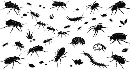 Insects and Bugs Silhouettes Vector Set Collection of Beetles Ants Spiders Centipede and Ladybug Clipart © MD