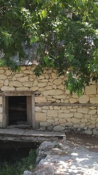 Water Mill Stone Building Old Plane Tree