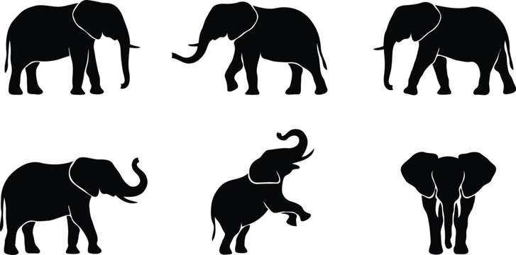 African elephant silhouettes set in different poses with floor shadow reflection