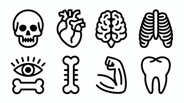 Black and white human anatomy icons set of skeletal and organ illustrations . Vector Flat Illustration.