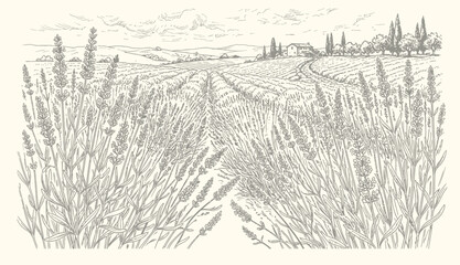 Fototapeta premium Lavender Field Landscape, Rustic Farmhouse, Tuscan Hills, Vintage Sketch Style, Rural Countryside Scenery