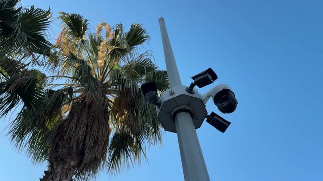 Security surveillance cameras mounted on a pole near palm trees under a clear blue sky. Public safety, video monitoring, urban security, smart city and surveillance technology concept.