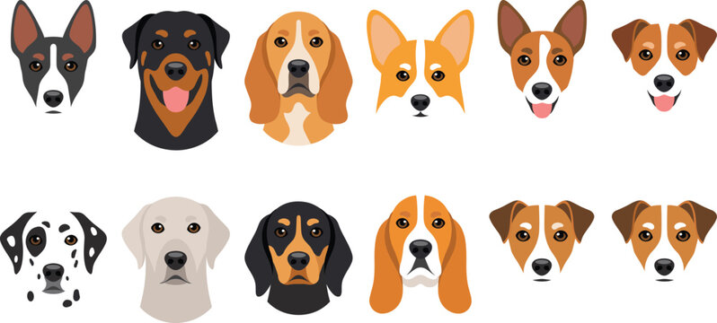 Cute dog breeds faces avatar icon set including rottweiler corgi dalmatian beagle and labrador flat vector illustration