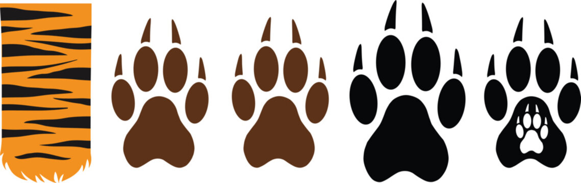Tiger paw print vector set with wild animal claw marks predator footprints and orange striped fur texture pattern