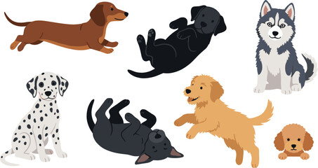 Cute Dog Character Set Featuring Various Breeds Including Dachshund Siberian Husky Dalmatian Golden Retriever Labrador and Poodle Puppies for Pet Care Graphic Designs © Borsha