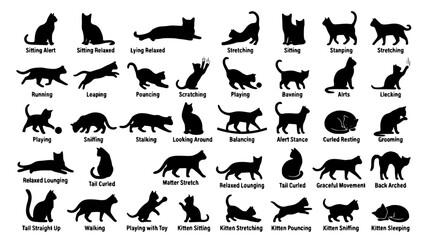 Fototapeta premium Modern Black Cat Silhouette Vector Pack with Domestic Feline Poses on White Background