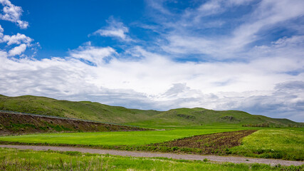 Fototapeta premium Grassland scene with rolling hills, dirt road, and cloud-filled sky