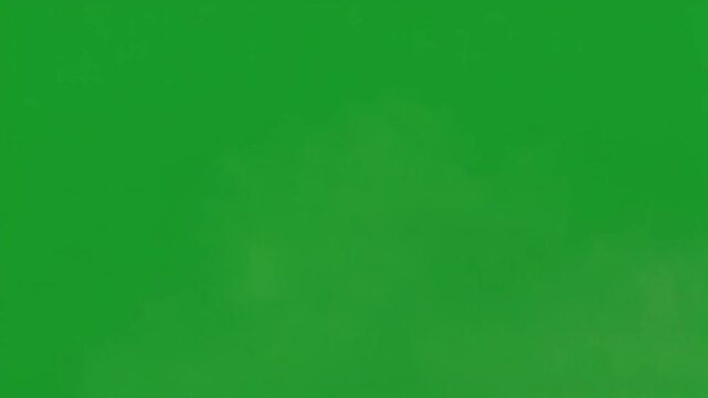 Fresh green vegetables arranged neatly in a vibrant display with a smooth greenscreen background