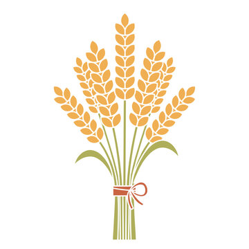 Flat illustration of wheat bundle with ribbon