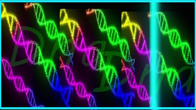 Neon DNA strands in rainbow colors moving on black background. Genetic code helix model for creative biology tech presentation. Animated DNA helix loop.