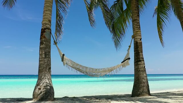 Aerial drone of coast, turquoise sea and sand beach with hammock. Panglao island, Bohol, Philippines.