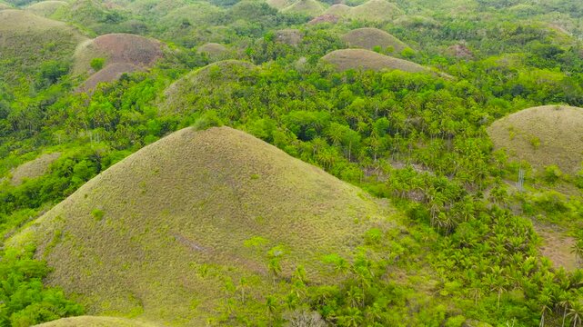 Aerial drone of the chocolate hills, a famous tourist destination on the island of Bohol, Philippines.