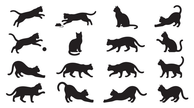 Black cat silhouettes set, 16 domestic cat vector icons in various poses, feline animal shapes for pet shop branding and graphic design