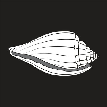 Minimalist Seashell Silhouette Vector Illustration