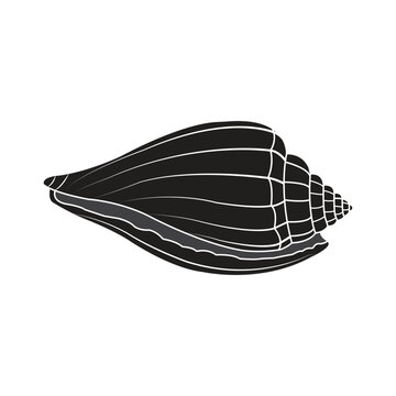 Minimalist Seashell Silhouette Vector Illustration